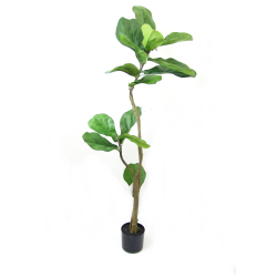 Drzewko dekoracyjne Figowiec 120cm
